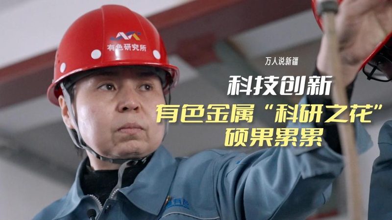 数据湖与数据仓库：差异解析与最佳实践